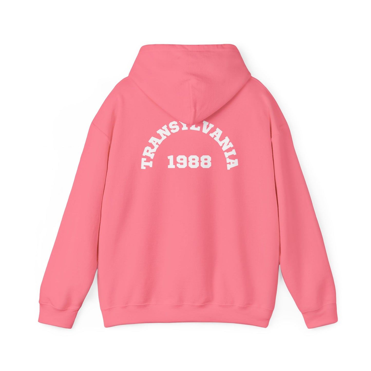 Transylvania 1988 Unisex Hooded Sweatshirt, Cozy Style, Halloween, Gift for Him/Her, Vintage Sweatshirt, Fall Fashion, Layering Piece