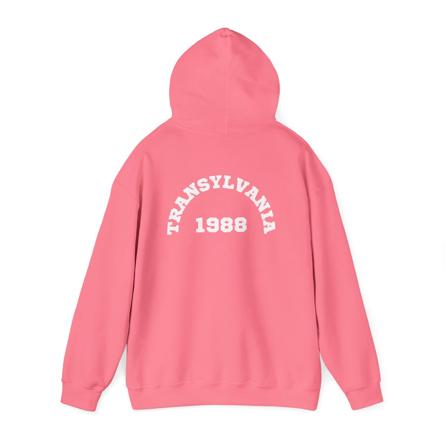 Transylvania 1988 Unisex Hooded Sweatshirt, Cozy Style, Halloween, Gift for Him/Her, Vintage Sweatshirt, Fall Fashion, Layering Piece
