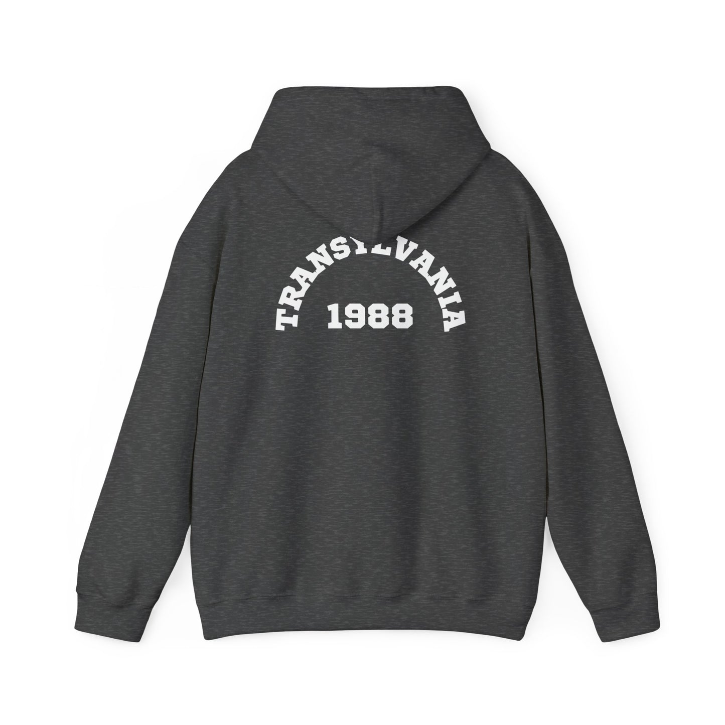 Transylvania 1988 Unisex Hooded Sweatshirt, Cozy Style, Halloween, Gift for Him/Her, Vintage Sweatshirt, Fall Fashion, Layering Piece