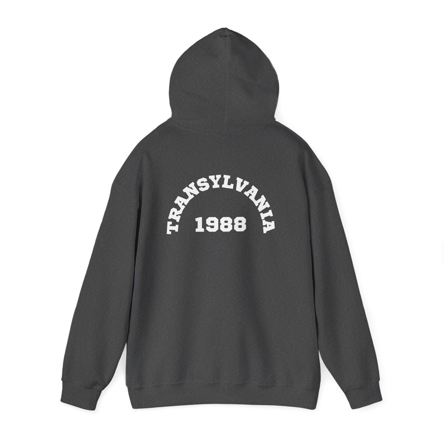 Transylvania 1988 Unisex Hooded Sweatshirt, Cozy Style, Halloween, Gift for Him/Her, Vintage Sweatshirt, Fall Fashion, Layering Piece
