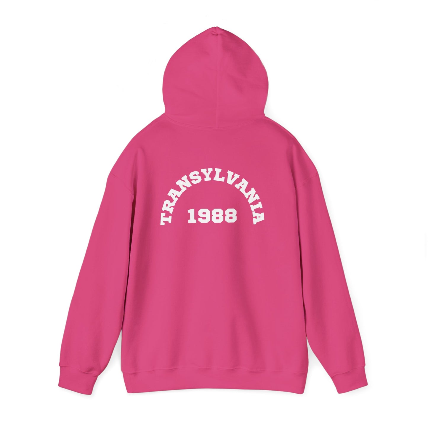 Transylvania 1988 Unisex Hooded Sweatshirt, Cozy Style, Halloween, Gift for Him/Her, Vintage Sweatshirt, Fall Fashion, Layering Piece