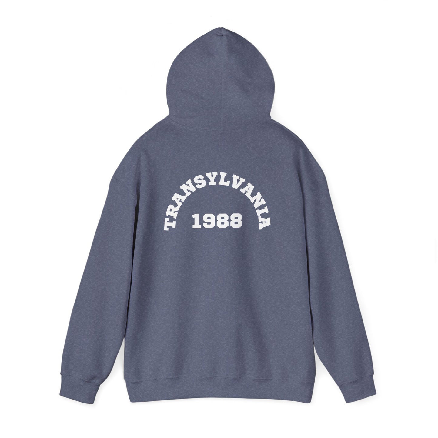Transylvania 1988 Unisex Hooded Sweatshirt, Cozy Style, Halloween, Gift for Him/Her, Vintage Sweatshirt, Fall Fashion, Layering Piece