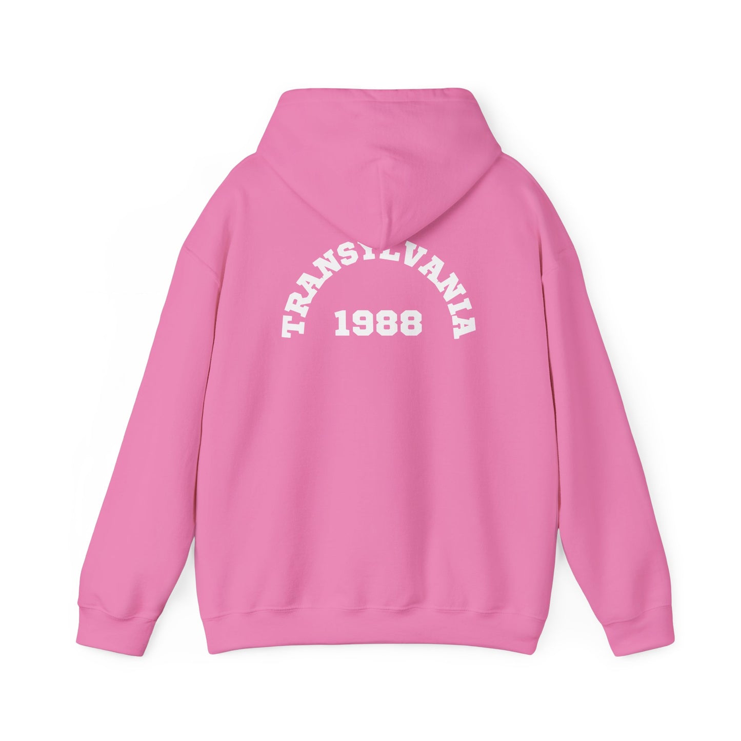 Transylvania 1988 Unisex Hooded Sweatshirt, Cozy Style, Halloween, Gift for Him/Her, Vintage Sweatshirt, Fall Fashion, Layering Piece