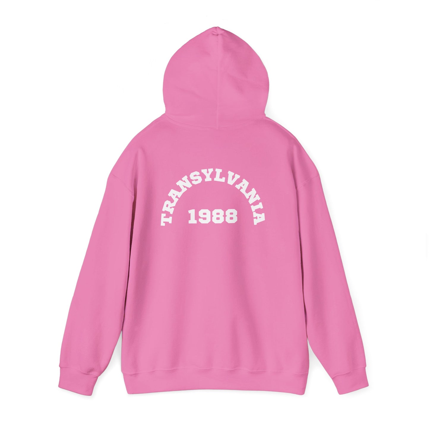 Transylvania 1988 Unisex Hooded Sweatshirt, Cozy Style, Halloween, Gift for Him/Her, Vintage Sweatshirt, Fall Fashion, Layering Piece
