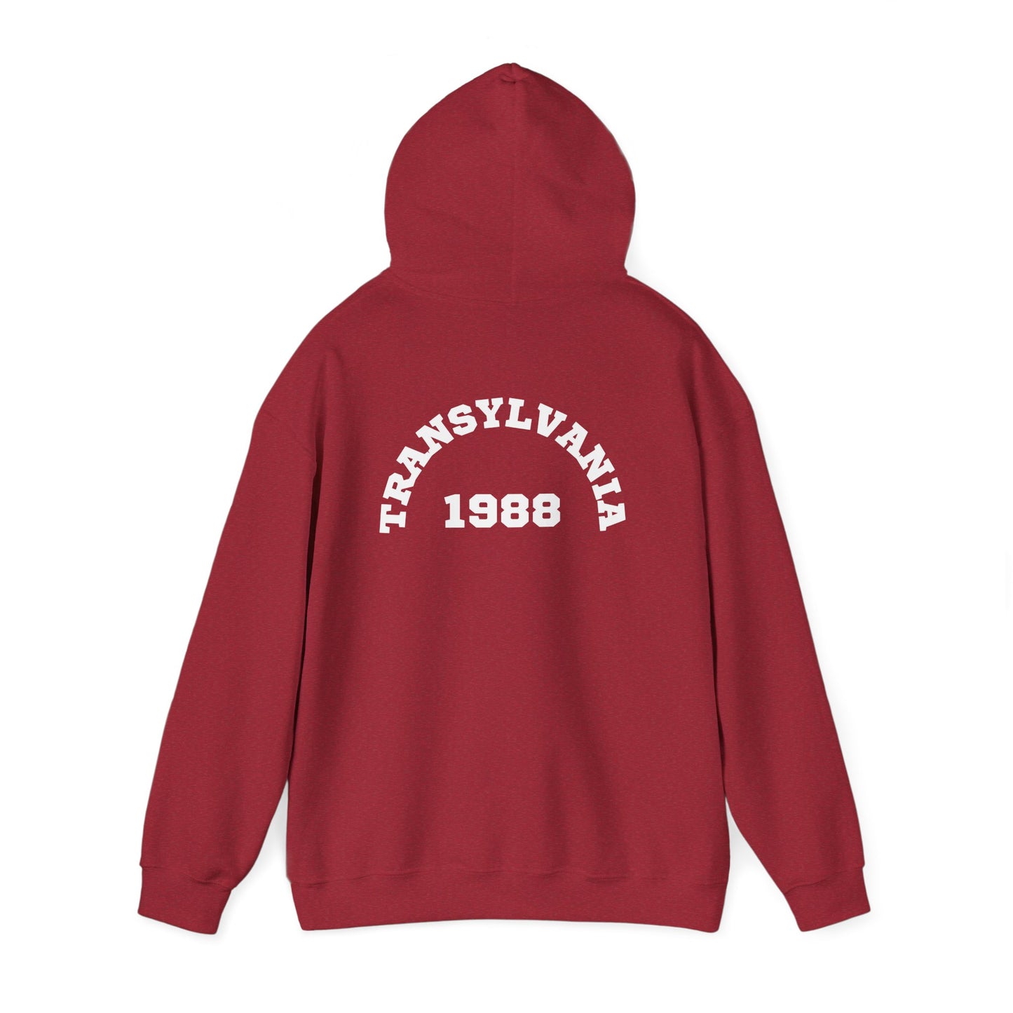 Transylvania 1988 Unisex Hooded Sweatshirt, Cozy Style, Halloween, Gift for Him/Her, Vintage Sweatshirt, Fall Fashion, Layering Piece