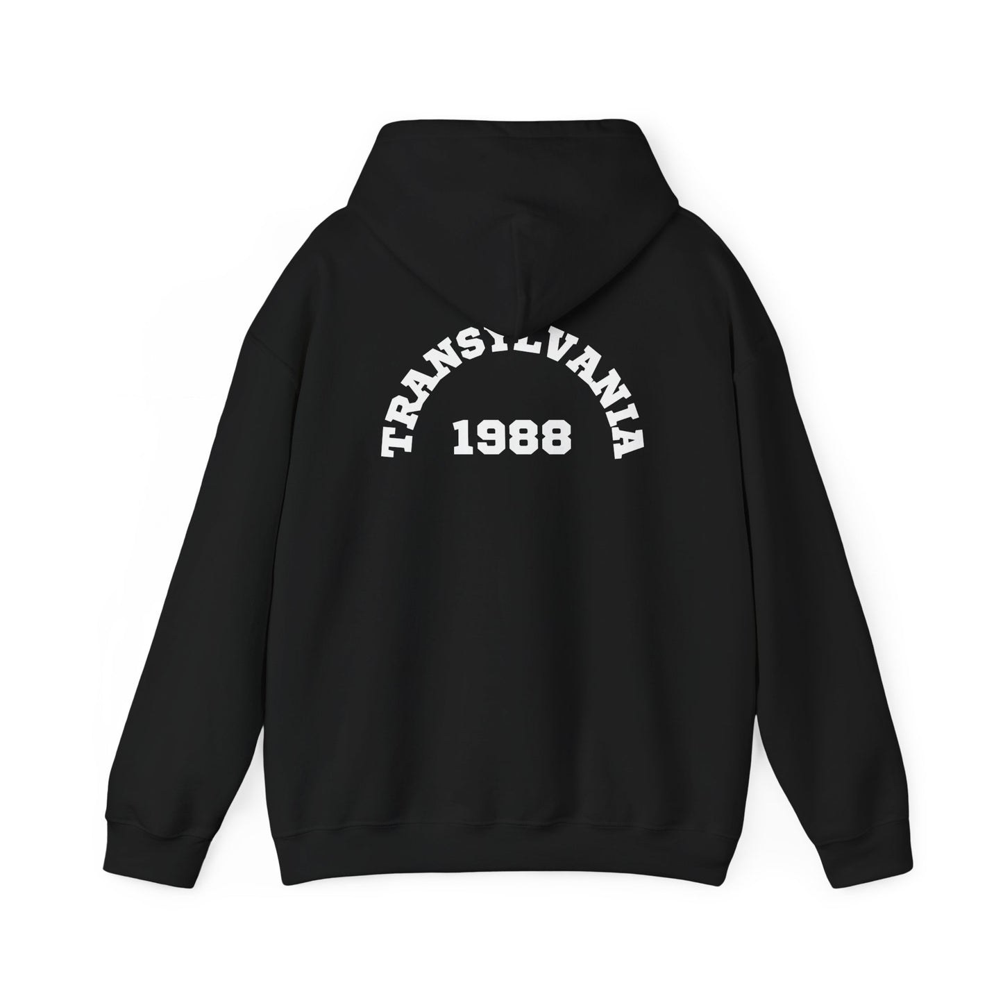 Transylvania 1988 Unisex Hooded Sweatshirt, Cozy Style, Halloween, Gift for Him/Her, Vintage Sweatshirt, Fall Fashion, Layering Piece