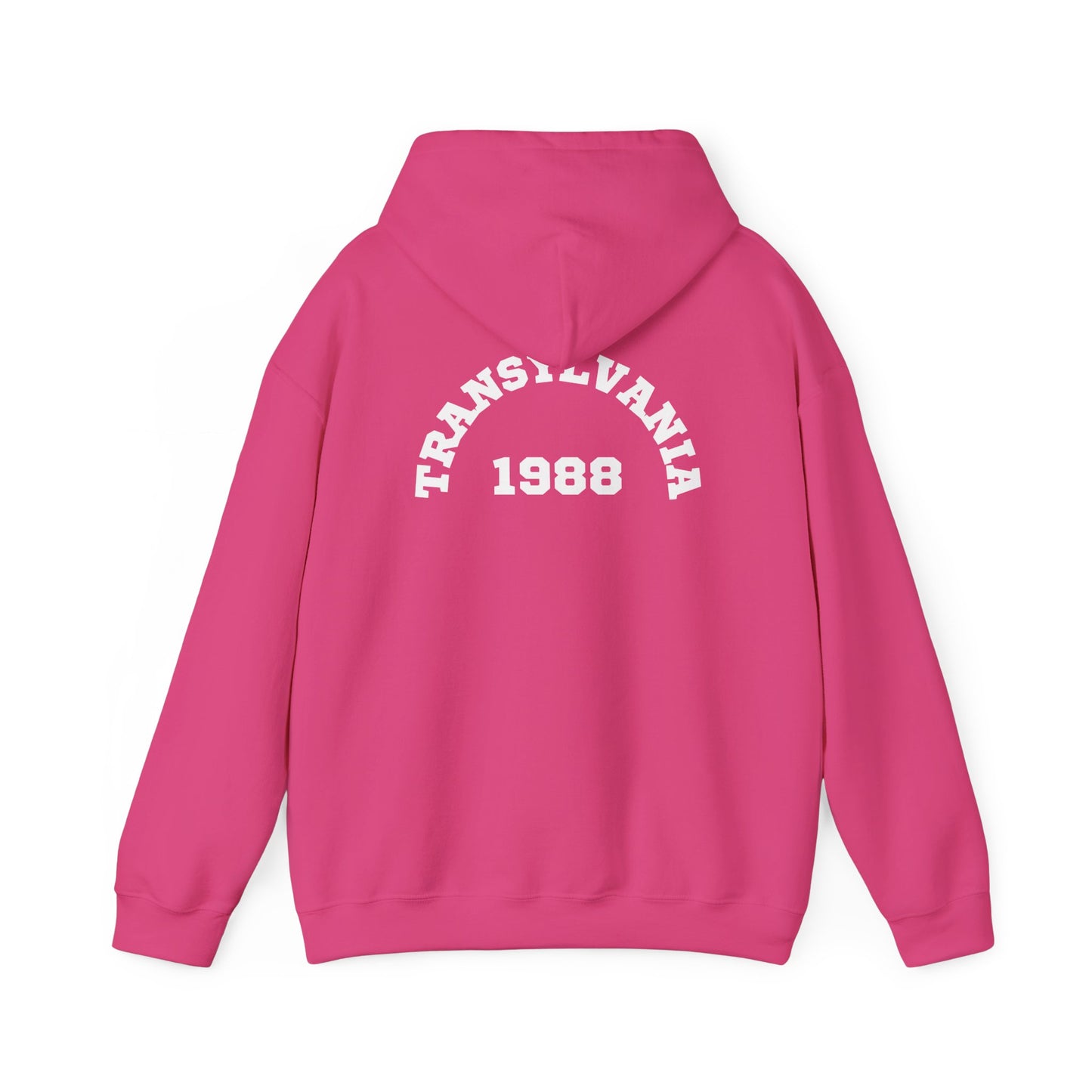 Transylvania 1988 Unisex Hooded Sweatshirt, Cozy Style, Halloween, Gift for Him/Her, Vintage Sweatshirt, Fall Fashion, Layering Piece