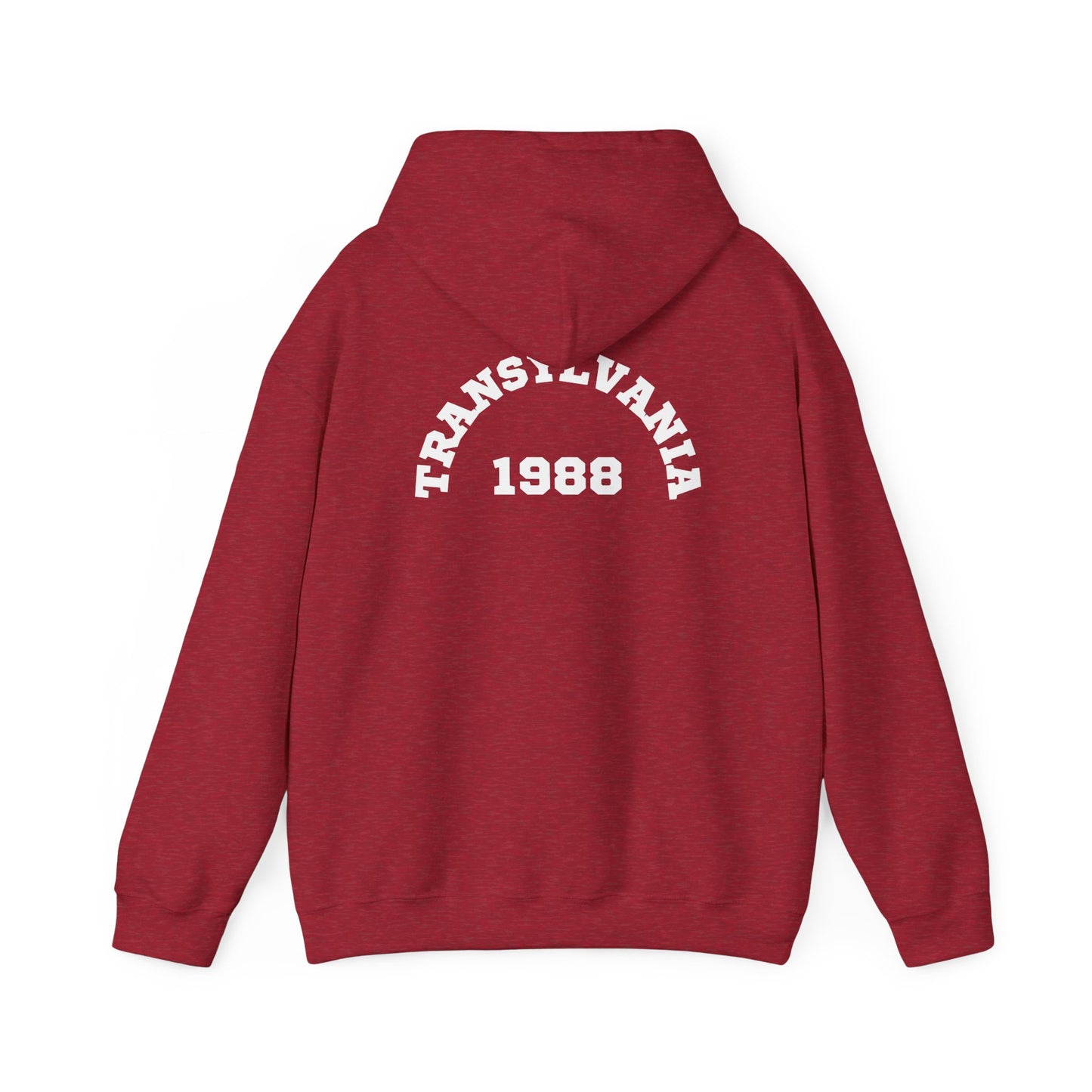 Transylvania 1988 Unisex Hooded Sweatshirt, Cozy Style, Halloween, Gift for Him/Her, Vintage Sweatshirt, Fall Fashion, Layering Piece
